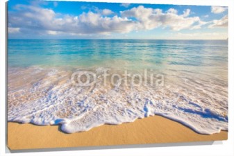 Lienzo Playa olas espuma